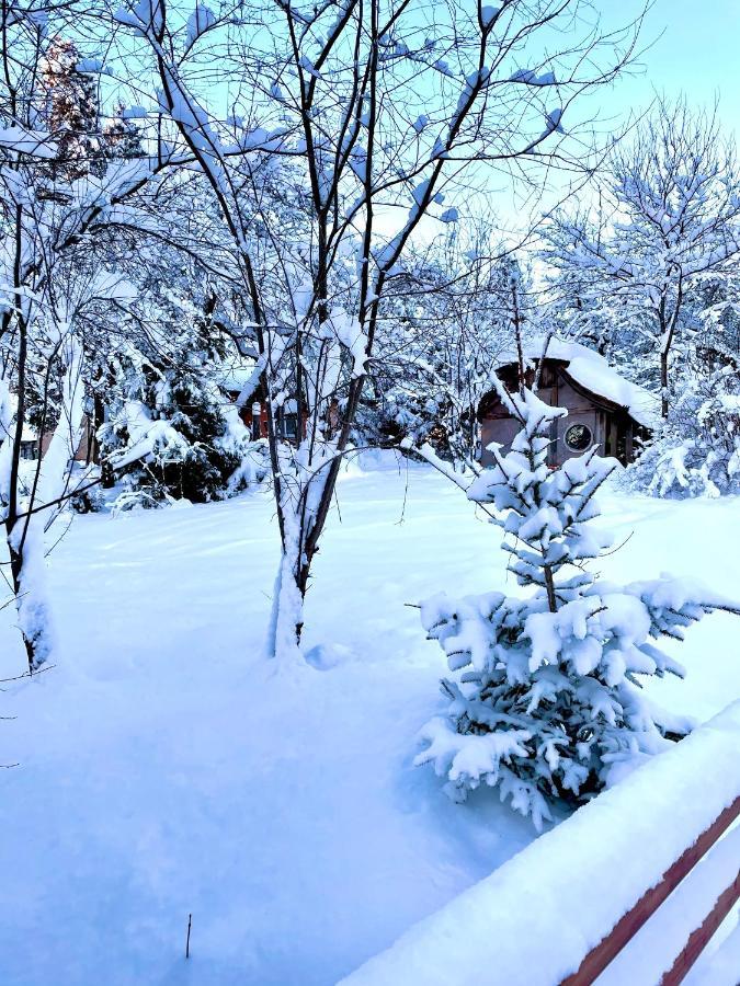 Apartment Round House Sigulda